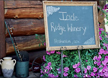 Welcom to Icicle Ridge Winery